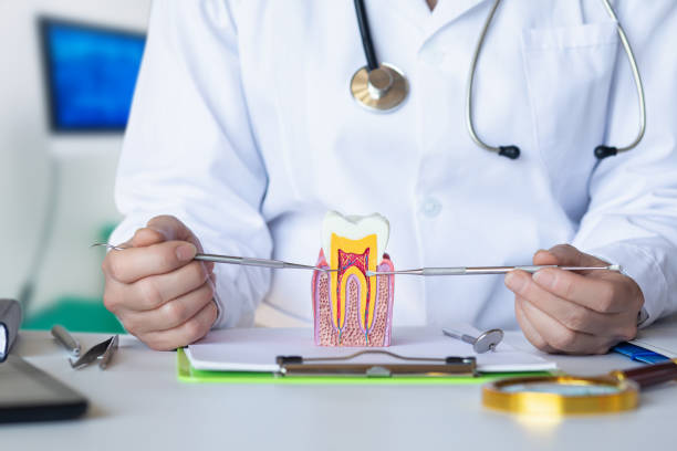 Best Broken or Cracked Tooth Emergency Dentist in Newport, NC